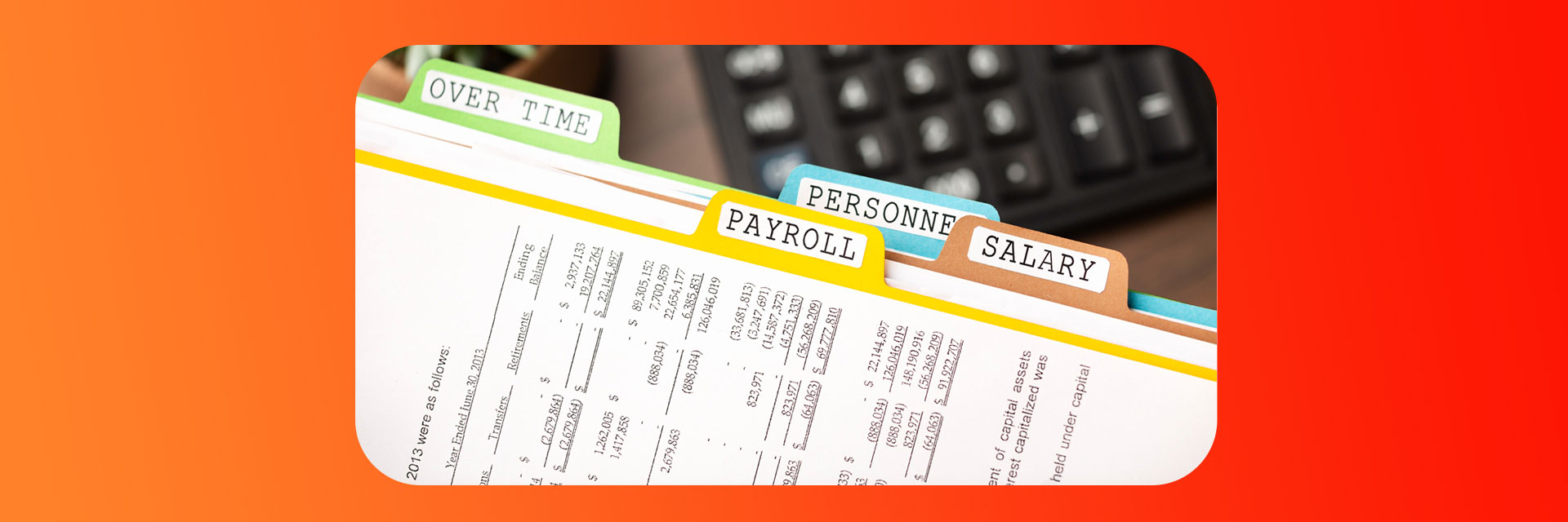 HR and Payroll System in Qatar | Manage Employee Data, Payroll, Attendance - Digital Forge Information Technology Company Doha Qatar.